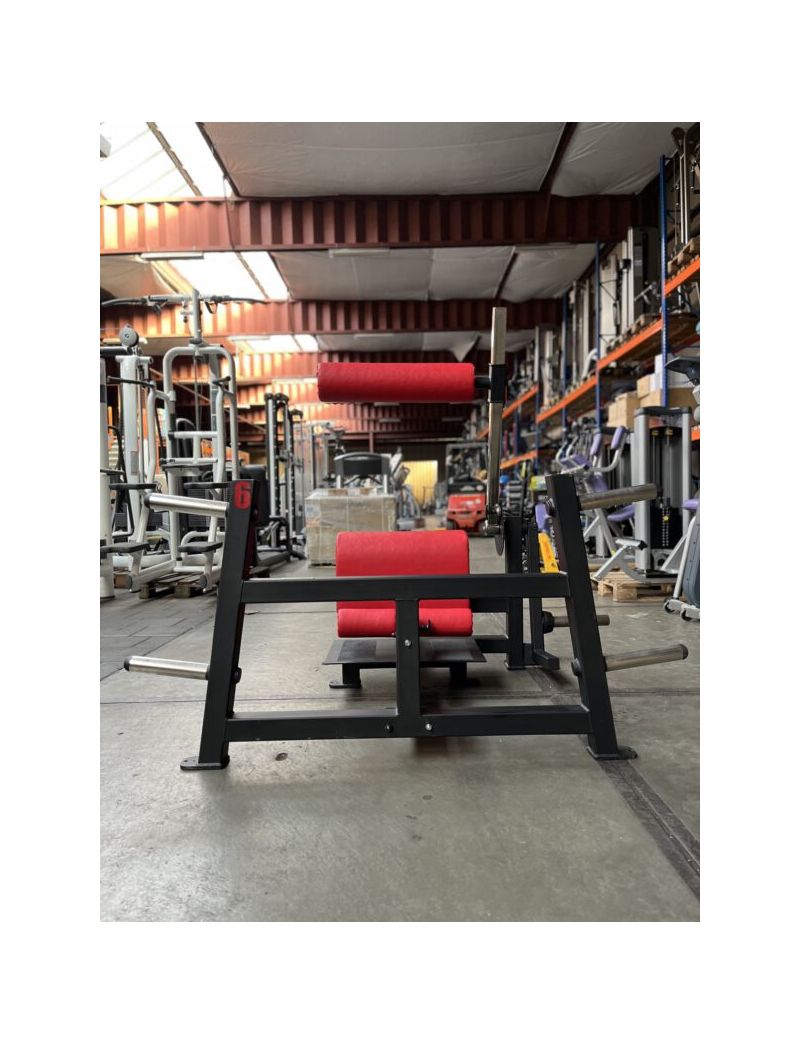 Standing lower Back \ Back extension | Kracht