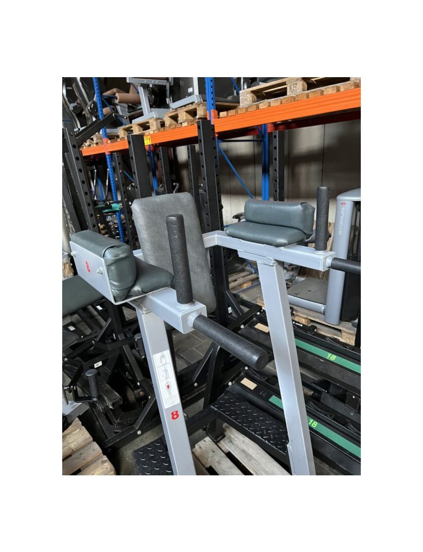 Gym80 Abdominal & Knee Up/ Dip