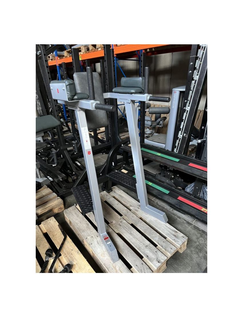 Gym80 Abdominal & Knee Up/ Dip