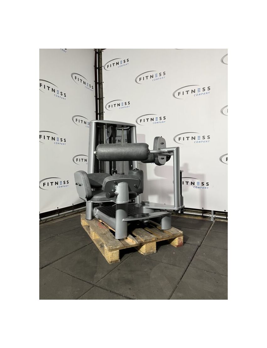 Gym80 SYGNUM rotary torso | Kracht