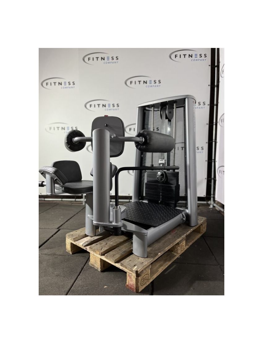 Gym80 SYGNUM rotary torso | Kracht