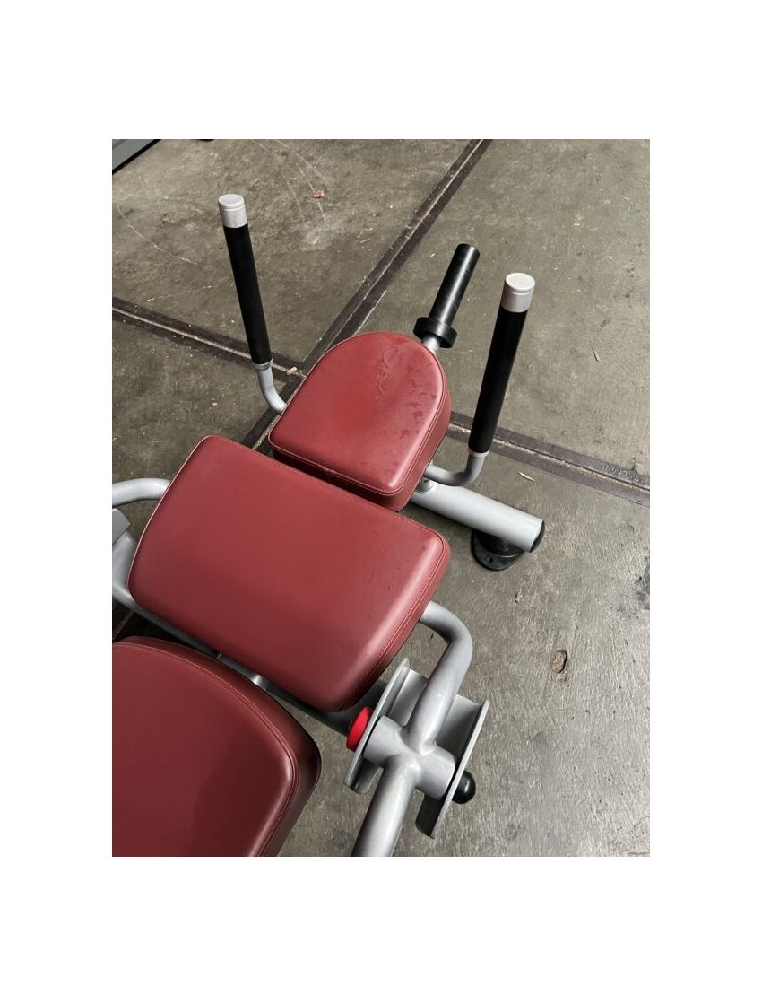 Matrix Abdominal Crunch Bench | Plate Loaded
