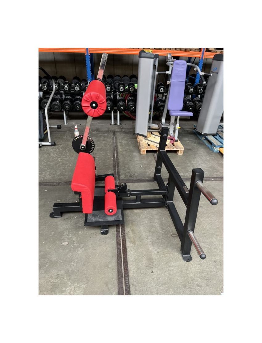 Standing lower Back \ Back extension | Kracht