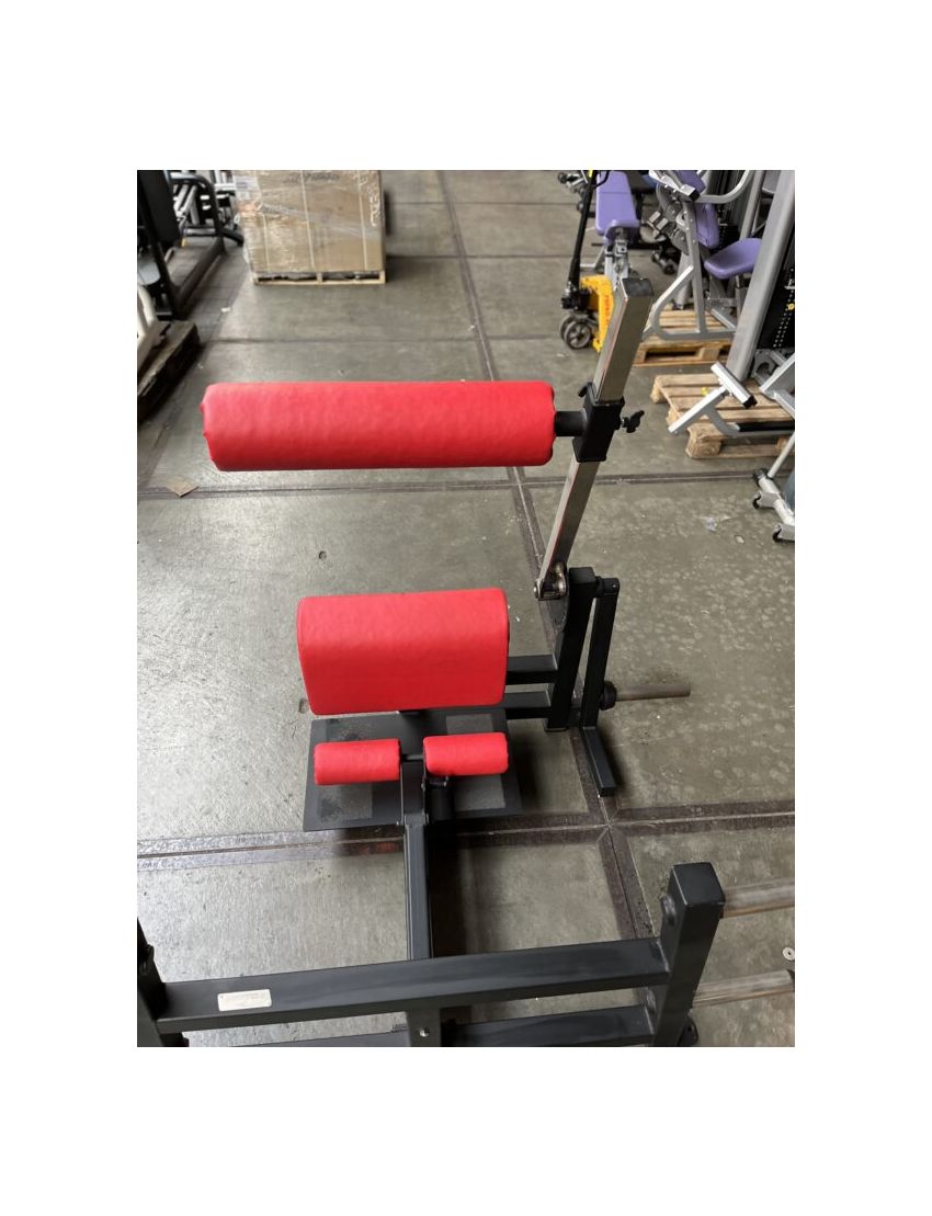 Standing lower Back \ Back extension | Kracht