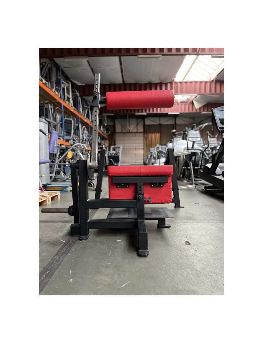 Standing lower Back \ Back extension | Kracht