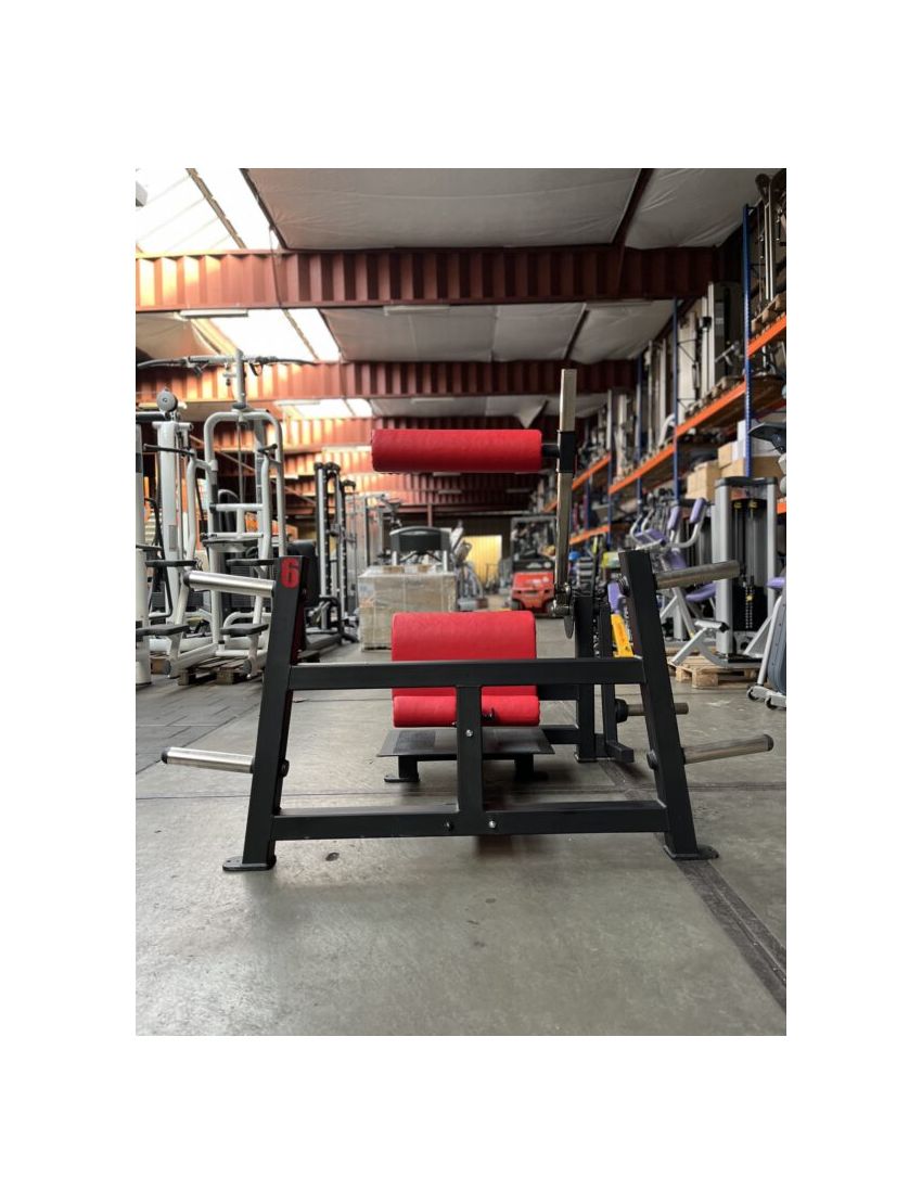 Standing lower Back \ Back extension | Kracht