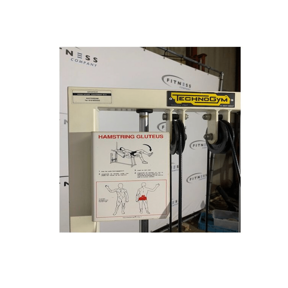 Machine De Musculation TechnoGym Lower Back Étireur Dorsal R.O.M. Contrôle ISOK - Silver Line - Occasion