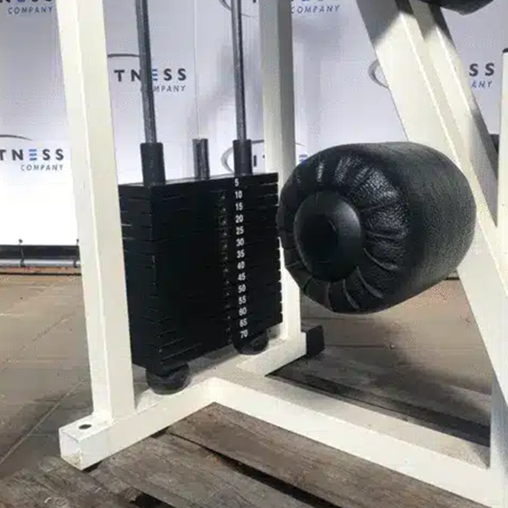 Alternative view of Technogym – Isotonic – Abdominal